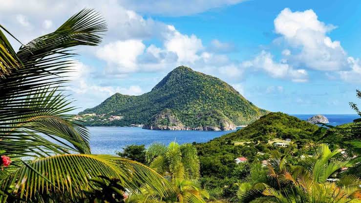 Gestion de patrimoine à Guadeloupe