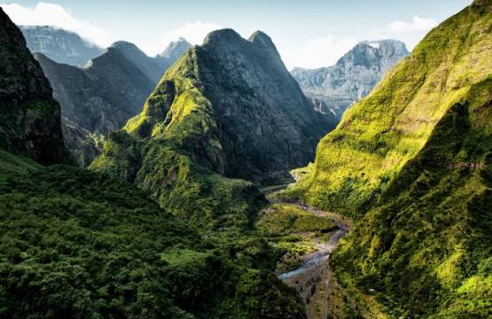 Gestion de patrimoine à La Réunion