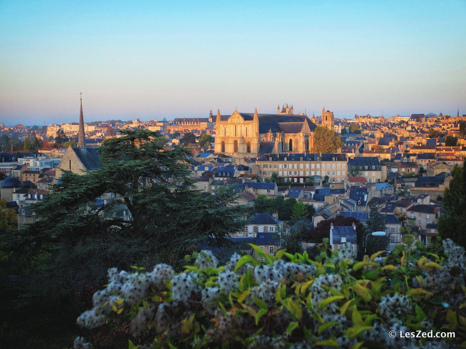 Gestion de patrimoine à Poitiers